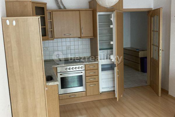 1 bedroom with open-plan kitchen flat to rent, 45 m², Hnězdenská, Prague, Prague
