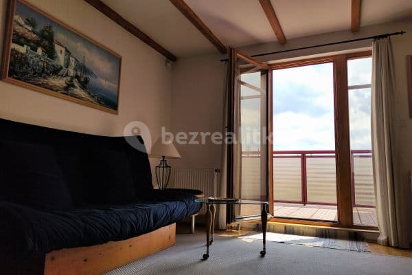 1 bedroom with open-plan kitchen flat to rent, 68 m², Prague, Prague