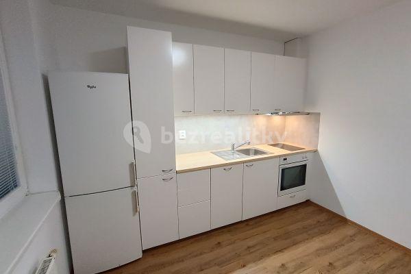1 bedroom with open-plan kitchen flat to rent, 37 m², Černého, 