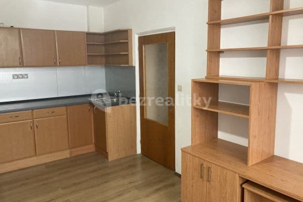 1 bedroom with open-plan kitchen flat to rent, 39 m², Na domovině, Prague, Prague
