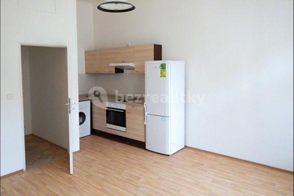 Small studio flat to rent, 24 m², Dělnická, Prague, Prague