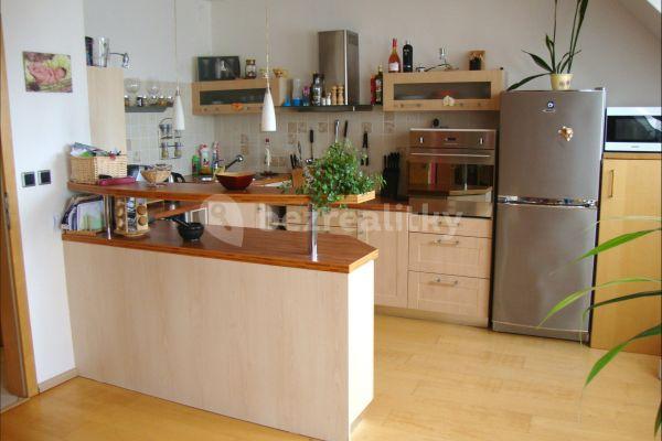 1 bedroom with open-plan kitchen flat to rent, 68 m², Sídlištní, Prague, Prague