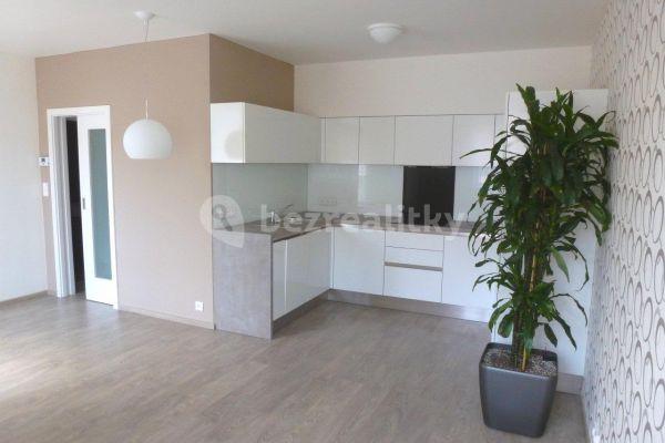 1 bedroom with open-plan kitchen flat to rent, 48 m², Slezská, Praha 3
