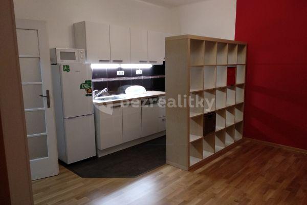 1 bedroom with open-plan kitchen flat to rent, 40 m², Kolbenova, Praha