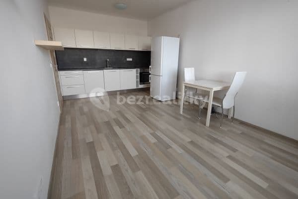 1 bedroom with open-plan kitchen flat to rent, 42 m², Na líše, Praha