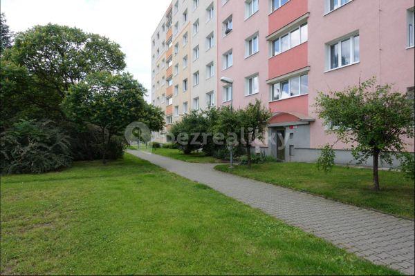 1 bedroom flat to rent, 40 m², Družby, 