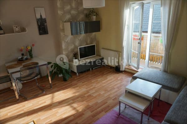 1 bedroom with open-plan kitchen flat to rent, 42 m², U Potoka, Tursko