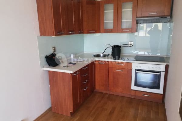 1 bedroom with open-plan kitchen flat to rent, 44 m², Na Rovnosti, Praha 1 bedroom with open-plan kitchen flat to rent, 44 m², Na Rovnosti, Praha