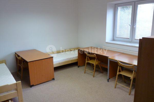 2 bedroom flat to rent, 60 m², Mánesova, Brno-Královo Pole