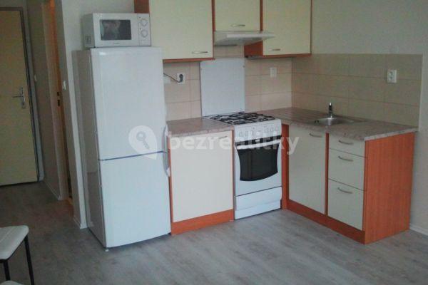 1 bedroom with open-plan kitchen flat to rent, 42 m², Březinova, Jihlava, Vysočina Region