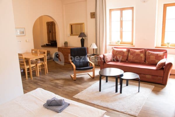 1 bedroom with open-plan kitchen flat to rent, 80 m², Ve Smečkách, Prague, Prague