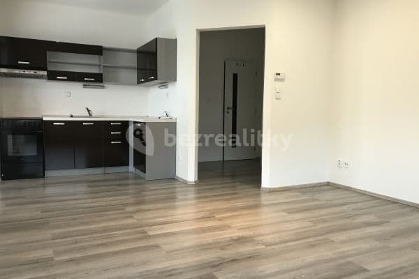 1 bedroom with open-plan kitchen flat to rent, 40 m², K Vrbičkám, Moravany 1 bedroom with open-plan kitchen flat to rent, 40 m², K Vrbičkám, Moravany