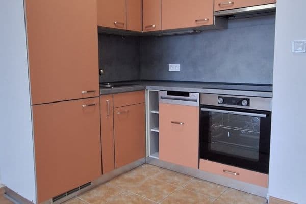 1 bedroom with open-plan kitchen flat to rent, 58 m², Bechlínská, Praha 1 bedroom with open-plan kitchen flat to rent, 58 m², Bechlínská, Praha