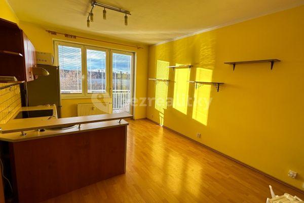1 bedroom with open-plan kitchen flat to rent, 47 m², U Strouhy, Vestec