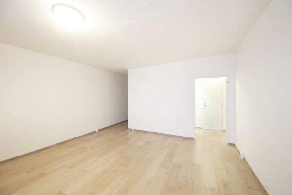 1 bedroom with open-plan kitchen flat to rent, 45 m², Hochmanova, Brno 1 bedroom with open-plan kitchen flat to rent, 45 m², Hochmanova, Brno