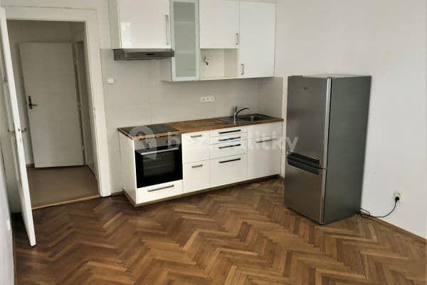 1 bedroom with open-plan kitchen flat to rent, 45 m², Kouřimská, Praha 3