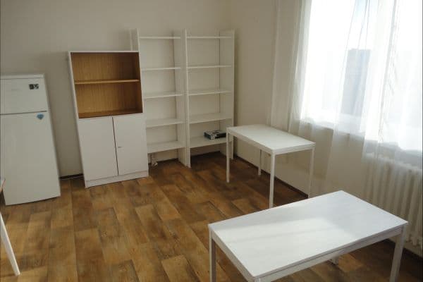 1 bedroom with open-plan kitchen flat to rent, 40 m², Valtická, Brno-Vinohrady 1 bedroom with open-plan kitchen flat to rent, 40 m², Valtická, Brno-Vinohrady