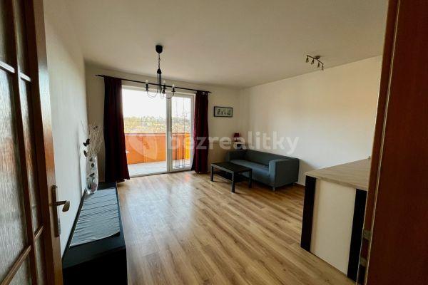 1 bedroom with open-plan kitchen flat to rent, 44 m², Winklerova, Praha