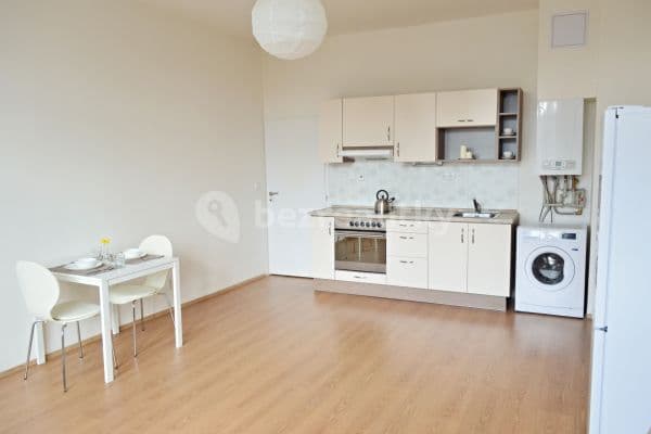 1 bedroom with open-plan kitchen flat to rent, 60 m², Pilsen 3 1 bedroom with open-plan kitchen flat to rent, 60 m², Pilsen 3