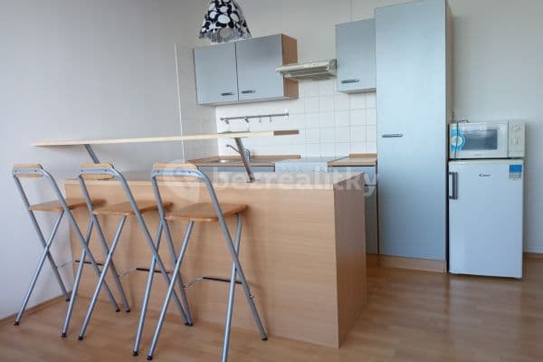 1 bedroom with open-plan kitchen flat to rent, 36 m², Olštýnská, Praha