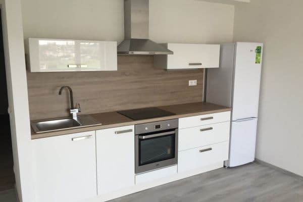 1 bedroom with open-plan kitchen flat to rent, 57 m², U Velkého rybníka, Plzeň 1 bedroom with open-plan kitchen flat to rent, 57 m², U Velkého rybníka, Plzeň