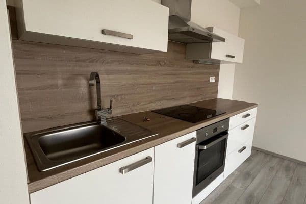 1 bedroom with open-plan kitchen flat to rent, 57 m², U Velkého rybníka, Plzeň 1 bedroom with open-plan kitchen flat to rent, 57 m², U Velkého rybníka, Plzeň