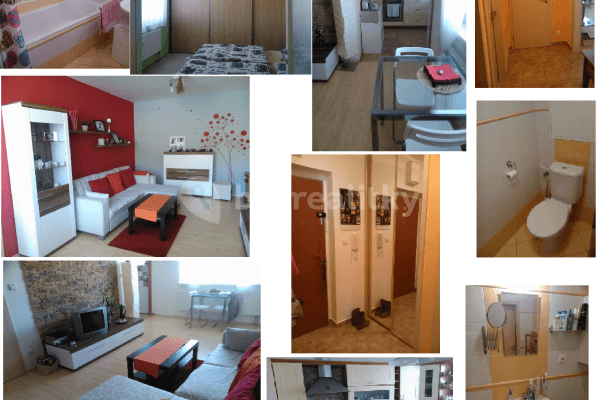1 bedroom with open-plan kitchen flat to rent, 51 m², Dubová, 
