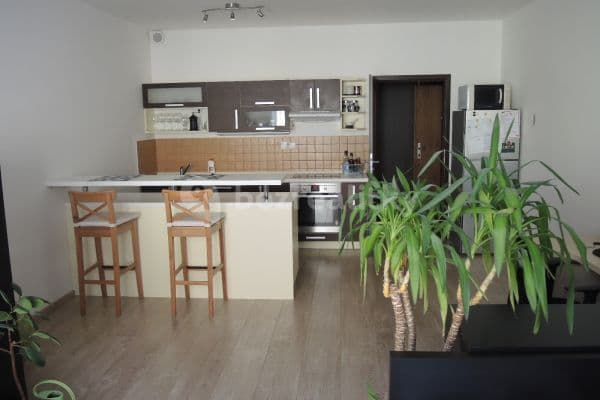 Studio flat to rent, 38 m², Bedřicha Smetany, České Budějovice Studio flat to rent, 38 m², Bedřicha Smetany, České Budějovice