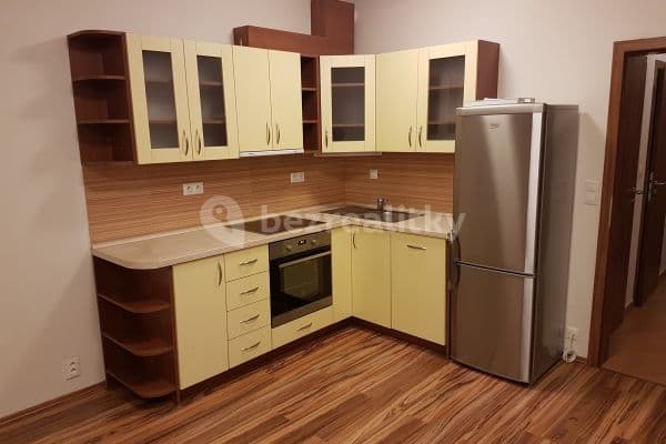 1 bedroom with open-plan kitchen flat to rent, 53 m², Přírodní, Brno, Jihomoravský Region