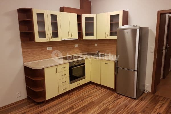 1 bedroom with open-plan kitchen flat to rent, 53 m², Přírodní, Brno 1 bedroom with open-plan kitchen flat to rent, 53 m², Přírodní, Brno