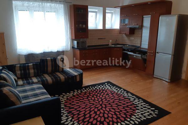 1 bedroom with open-plan kitchen flat to rent, 60 m², U Družstva Život, Praha