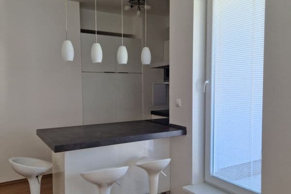 1 bedroom with open-plan kitchen flat to rent, 50 m², Václava Trojana, Praha 1 bedroom with open-plan kitchen flat to rent, 50 m², Václava Trojana, Praha