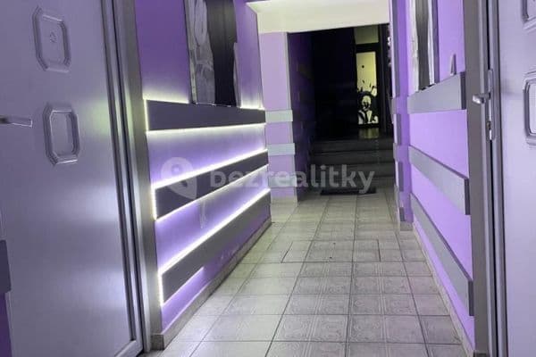 1 bedroom with open-plan kitchen flat to rent, 60 m², Koterovská, Plzeň, Plzeňský Region 1 bedroom with open-plan kitchen flat to rent, 60 m², Koterovská, Plzeň, Plzeňský Region