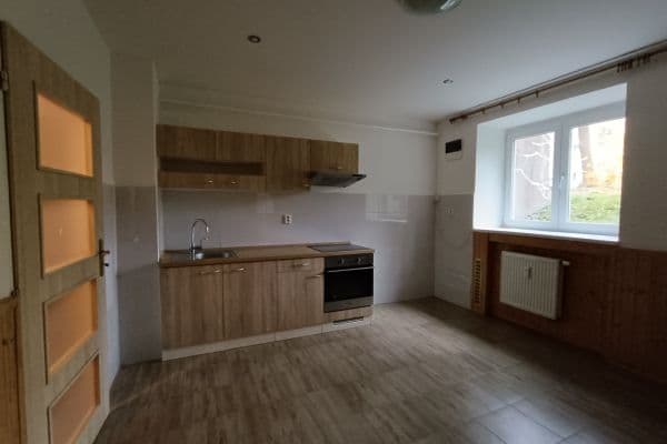 1 bedroom with open-plan kitchen flat to rent, 36 m², Milady Horákové, Brno 1 bedroom with open-plan kitchen flat to rent, 36 m², Milady Horákové, Brno