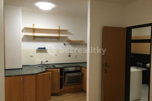 1 bedroom with open-plan kitchen flat to rent, 56 m², Majdalenky, Brno-město