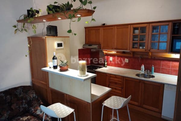 1 bedroom with open-plan kitchen flat to rent, 48 m², U Pergamenky, Praha