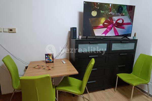 1 bedroom with open-plan kitchen flat to rent, 48 m², U Pergamenky, Praha