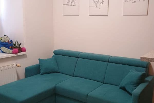 1 bedroom with open-plan kitchen flat to rent, 45 m², U Pergamenky, Praha 1 bedroom with open-plan kitchen flat to rent, 45 m², U Pergamenky, Praha