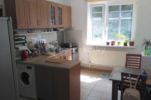 1 bedroom with open-plan kitchen flat to rent, 47 m², Mlýnská, Liberec