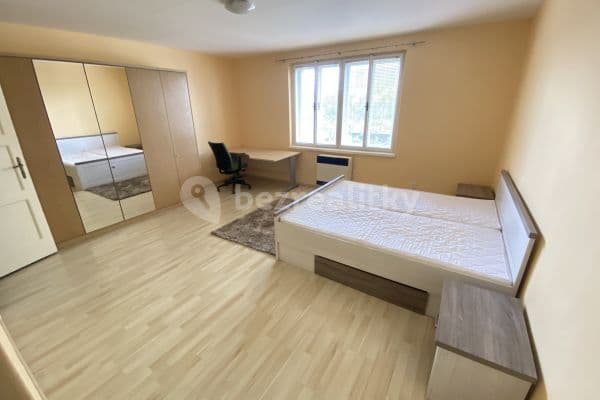 1 bedroom with open-plan kitchen flat to rent, 49 m², Kouřimská, Prague, Prague