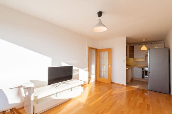 1 bedroom with open-plan kitchen flat to rent, 43 m², Lessnerova, Praha 1 bedroom with open-plan kitchen flat to rent, 43 m², Lessnerova, Praha