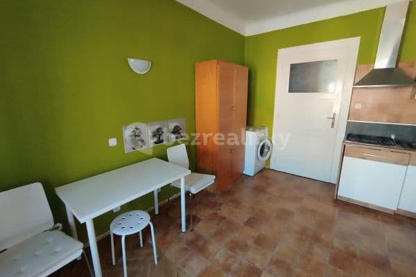 1 bedroom with open-plan kitchen flat to rent, 41 m², Nerudova, 
