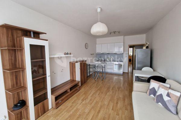 1 bedroom with open-plan kitchen flat to rent, 60 m², Pelušková, Praha