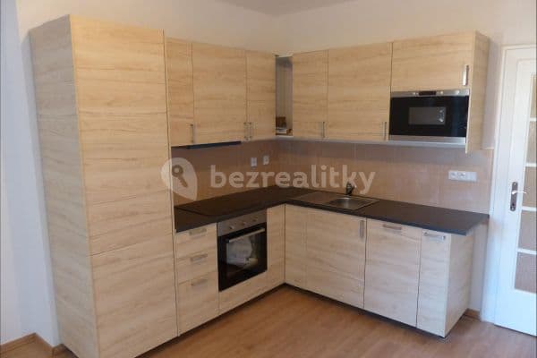 1 bedroom with open-plan kitchen flat to rent, 44 m², Jana Želivského, Prague, Prague