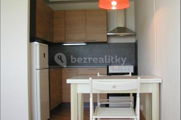 1 bedroom with open-plan kitchen flat to rent, 44 m², Na Okruhu, 