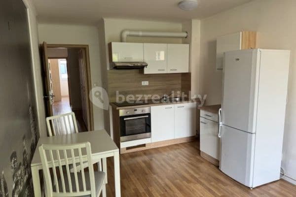 1 bedroom with open-plan kitchen flat to rent, 47 m², Valchařská, Brno