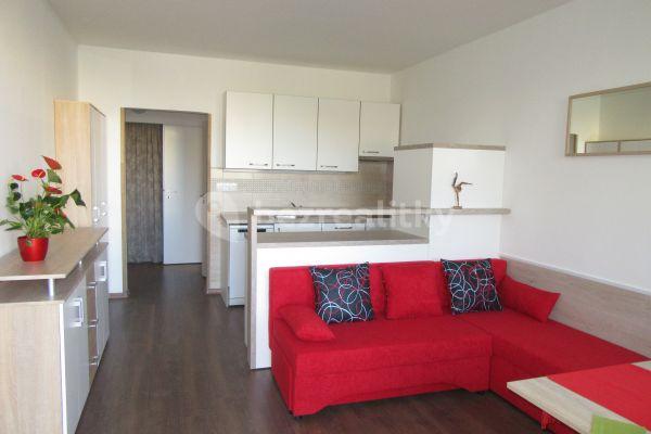 1 bedroom with open-plan kitchen flat to rent, 48 m², Benkova, Prague, Prague