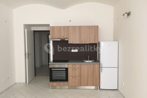 1 bedroom with open-plan kitchen flat to rent, 41 m², Sezimova, Praha 1 bedroom with open-plan kitchen flat to rent, 41 m², Sezimova, Praha