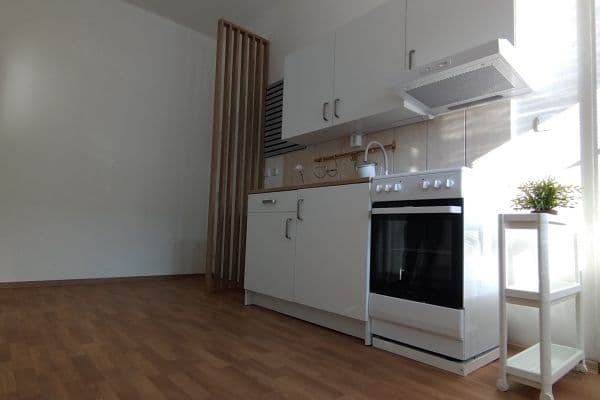 1 bedroom with open-plan kitchen flat to rent, 49 m², Michálkovická, Ostrava 1 bedroom with open-plan kitchen flat to rent, 49 m², Michálkovická, Ostrava