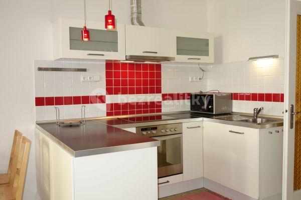 1 bedroom with open-plan kitchen flat to rent, 51 m², Drahobejlova, Prague, Prague